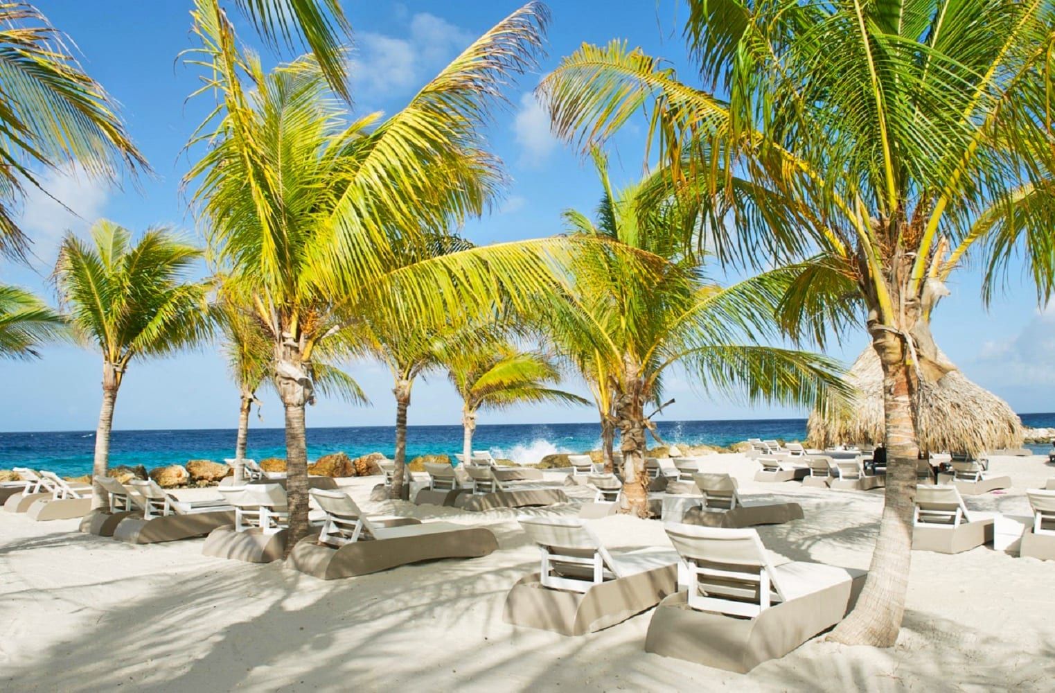 jan thiel en vista royal strand huizen die te koop zijn op curacao bij de makelaar van curacao