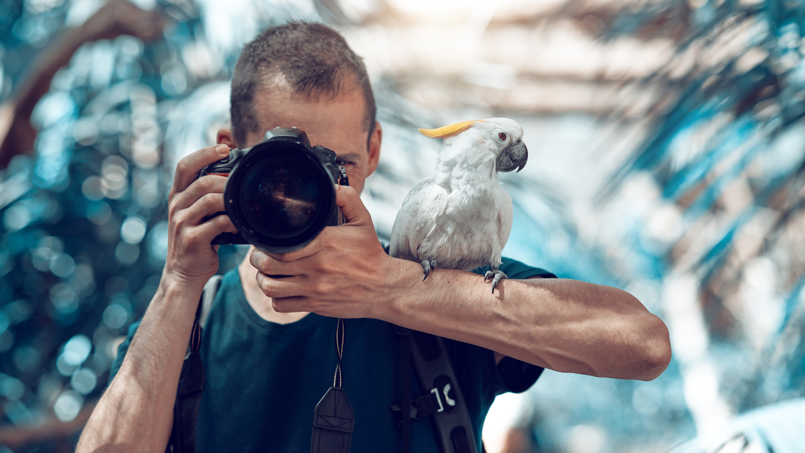 fotograaf van huis op curacao met papegaai