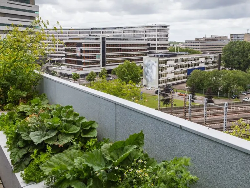 Woning verhuren Rotterdam Rental Service Bergpolder